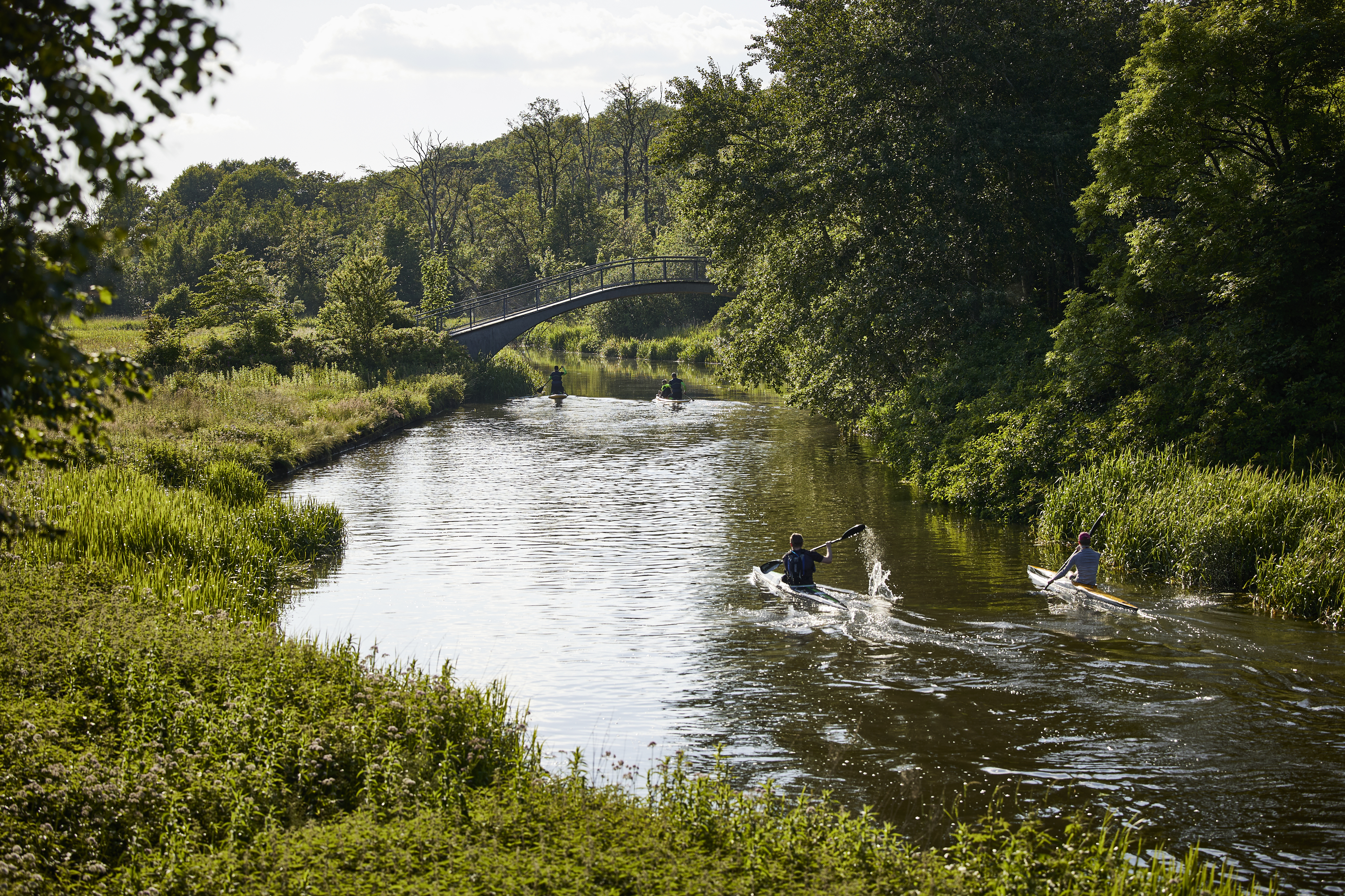 Nørreå i Fladbro Skov